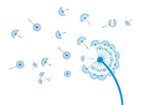 攜手長春網站建設，打造企業專屬的數字化門戶