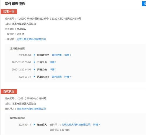 比特大陸關(guān)聯(lián)公司成被執(zhí)行人，執(zhí)行標的超23萬元涉及軟件開發(fā)