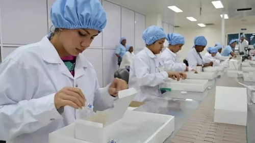 古巴抗癌疫苗取得新進(jìn)展，為攻克實(shí)體瘤帶來新希望